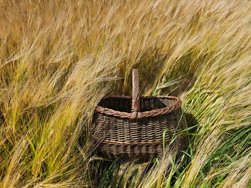 Extra large wicker basket - extra,